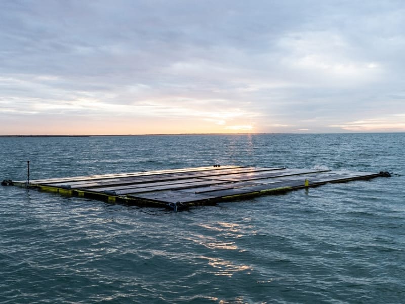 Ocean Floating Solar + Seaweed
