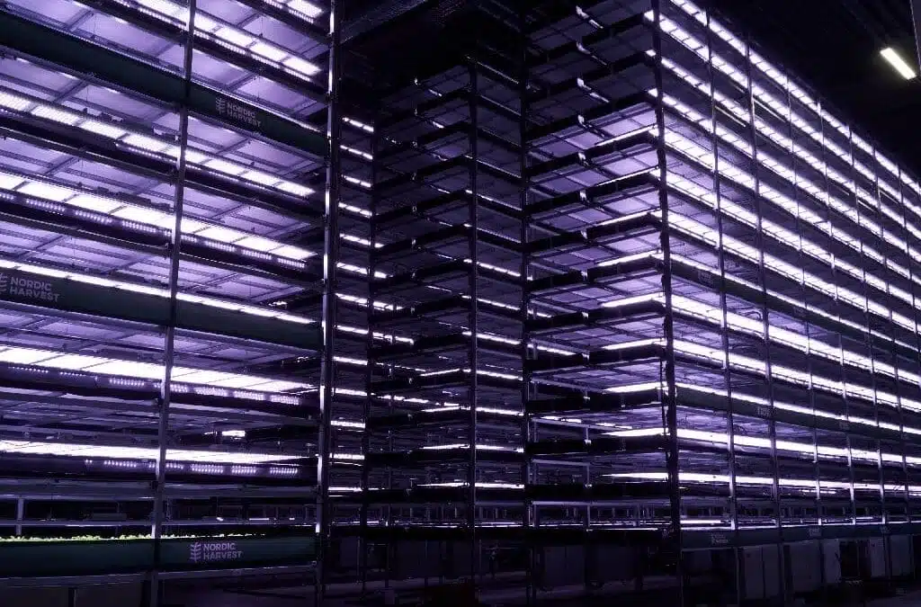 Nordic Harvest Indoor Vertical Farm Tall stacked farming