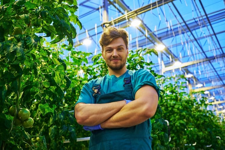Farmer stands in front of healthy plants, in what could one day be a solar greenhouse