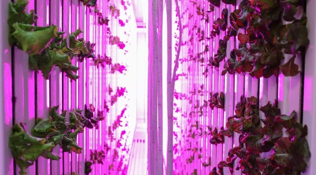 FreightFarms - True Value Test