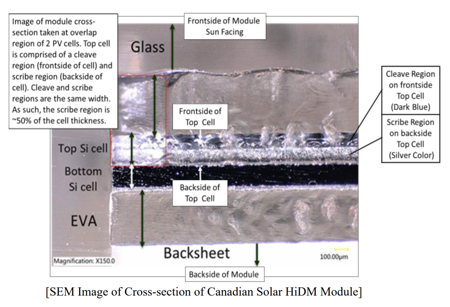 image of cross-section of Canadian Solar HiDM module