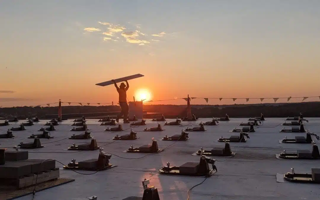 Commercial solar installation at sunset