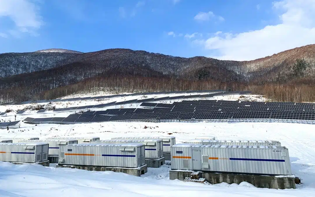 Photograph of Blue Power's battery storage - installed in shipping containers sitting on foundations